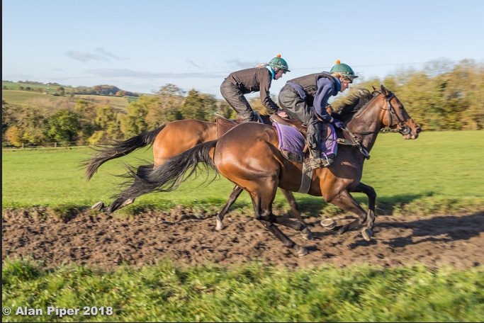 "Racehorses on the gallops" (CC BY-ND 2.0) by PapaPiper