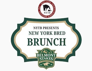 NY