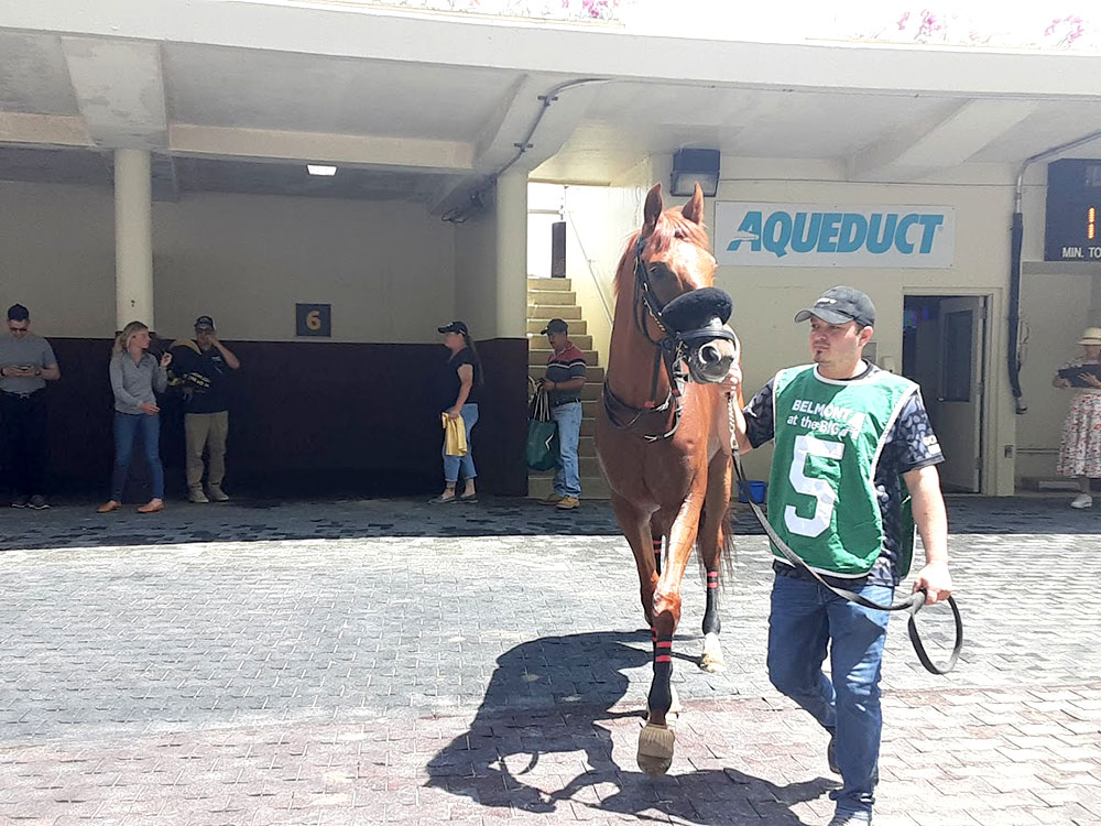 The Paddock at Aqueduct Racetrack