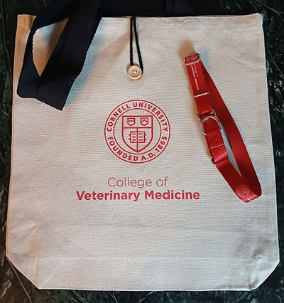Cornell Tote Bag and Dog Collar Cornell Tote Bag and Dog Collar