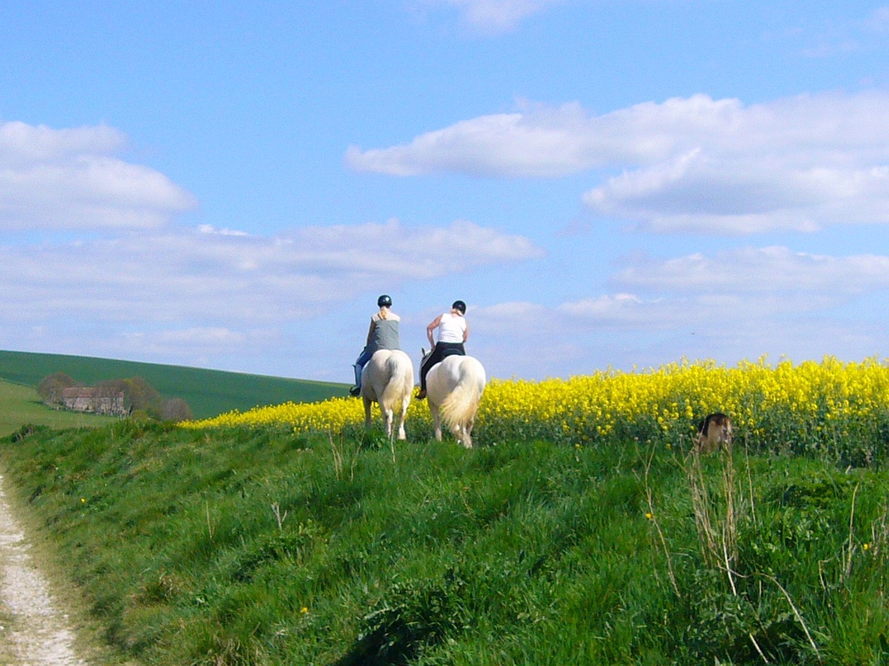Equine Info Exchange - Trail Riding