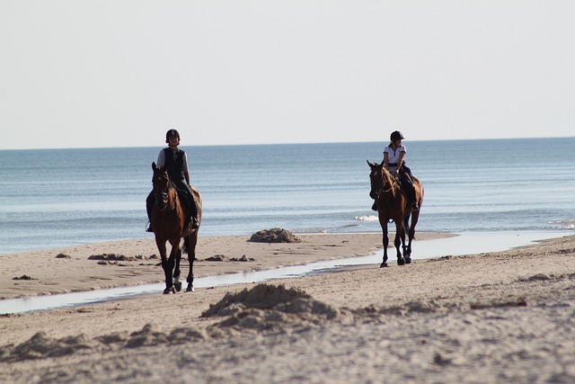 Equine Info Exchange - Trail Riding