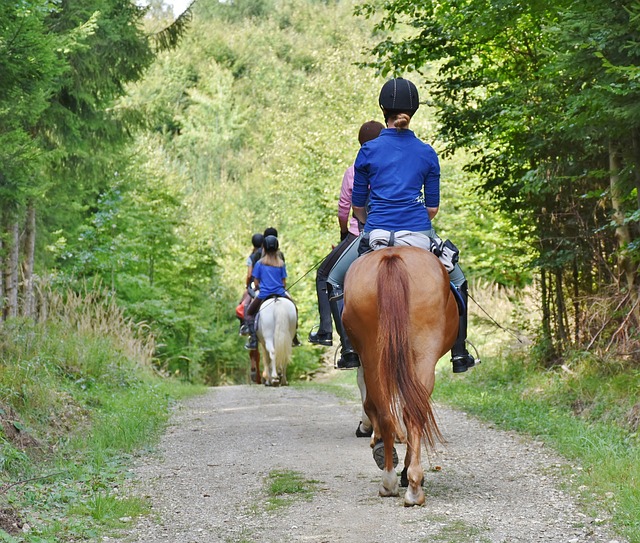 Equine Info Exchange - Trail Riding