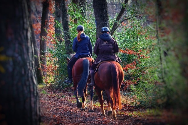 Equine Info Exchange - Trail Riding