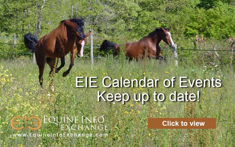 Keep up to date with the EIE Calendar of Equestrian Events