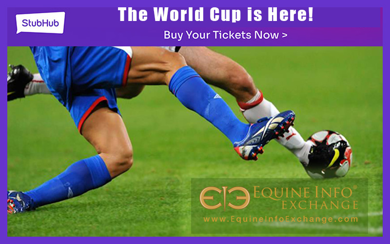 Stubhub - 2026 World Cup