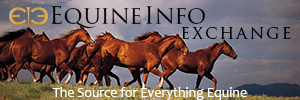 Equine Info Exchange - Web Banner - 72dpi, 300px X 100px Equine Info Exchange - Web banner - 72dpi, 300px X 100px