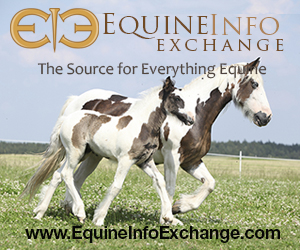 Equine Info Exchange - Web Logo - 72dpi, 300px X 250px Equine Info Exchange - Web /logo - 72dpi, 300px X 250px