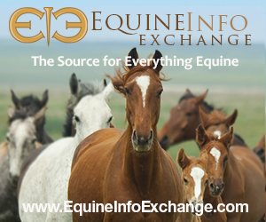 Equine Info Exchange - Web Logo - 72dpi, 300px X 250px Equine Info Exchange - Web /logo - 72dpi, 300px X 250px