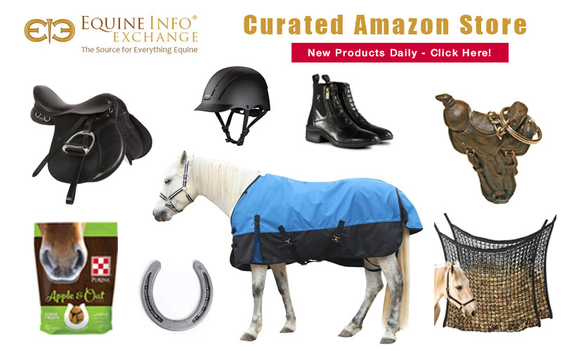 Visit the EIE Curated Amazon Store
