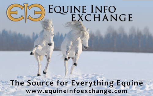 Equine Info Exchange - Print Banner - 300dpi, 8 in X 5 in Equine Info Exchange - Print banner - 300dpi, 8 in X 5 in
