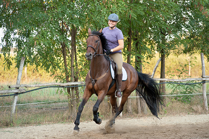 Equine Info Exchange - College Riding & Prep Schools
