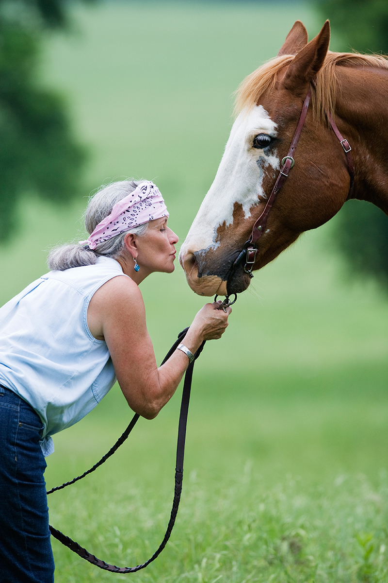 Horse Sitting Services