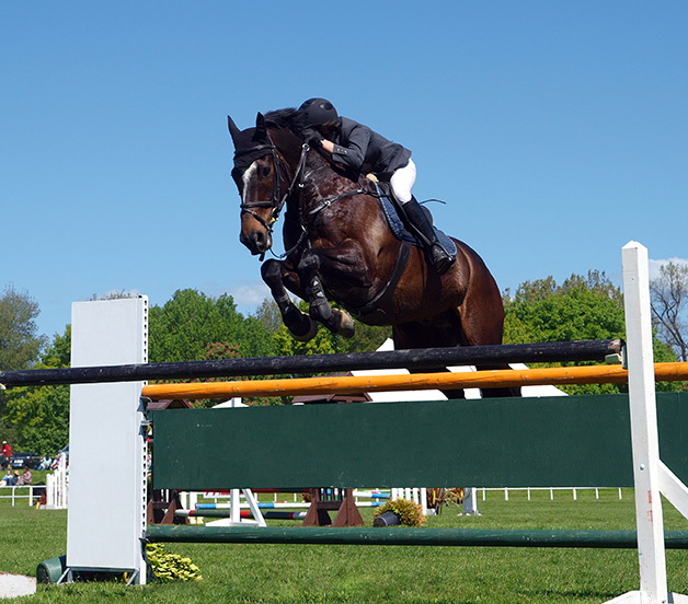 Show Hunter Jumper events show hunter horse jumping fence