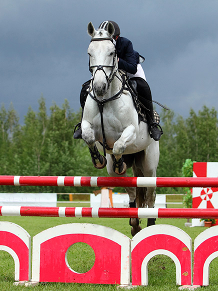 Hunter Jumper events information show hunter jumper event showing a horse as it soars over a fence
