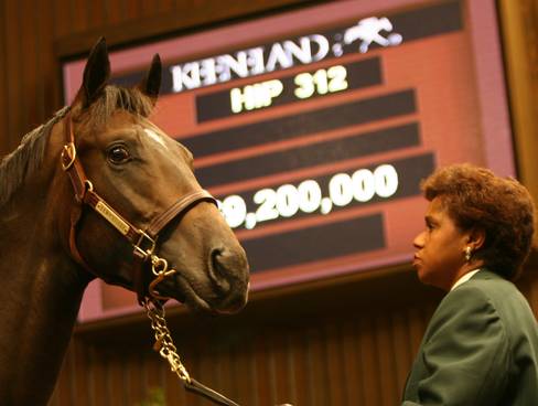 Equine Info Exchange - Horse Auctions