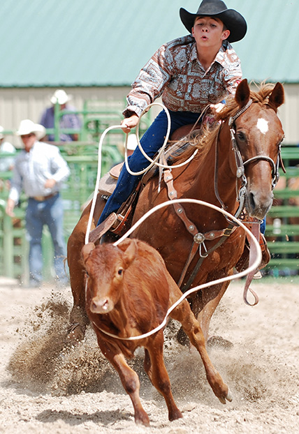 Equine Info Exchange - Roping