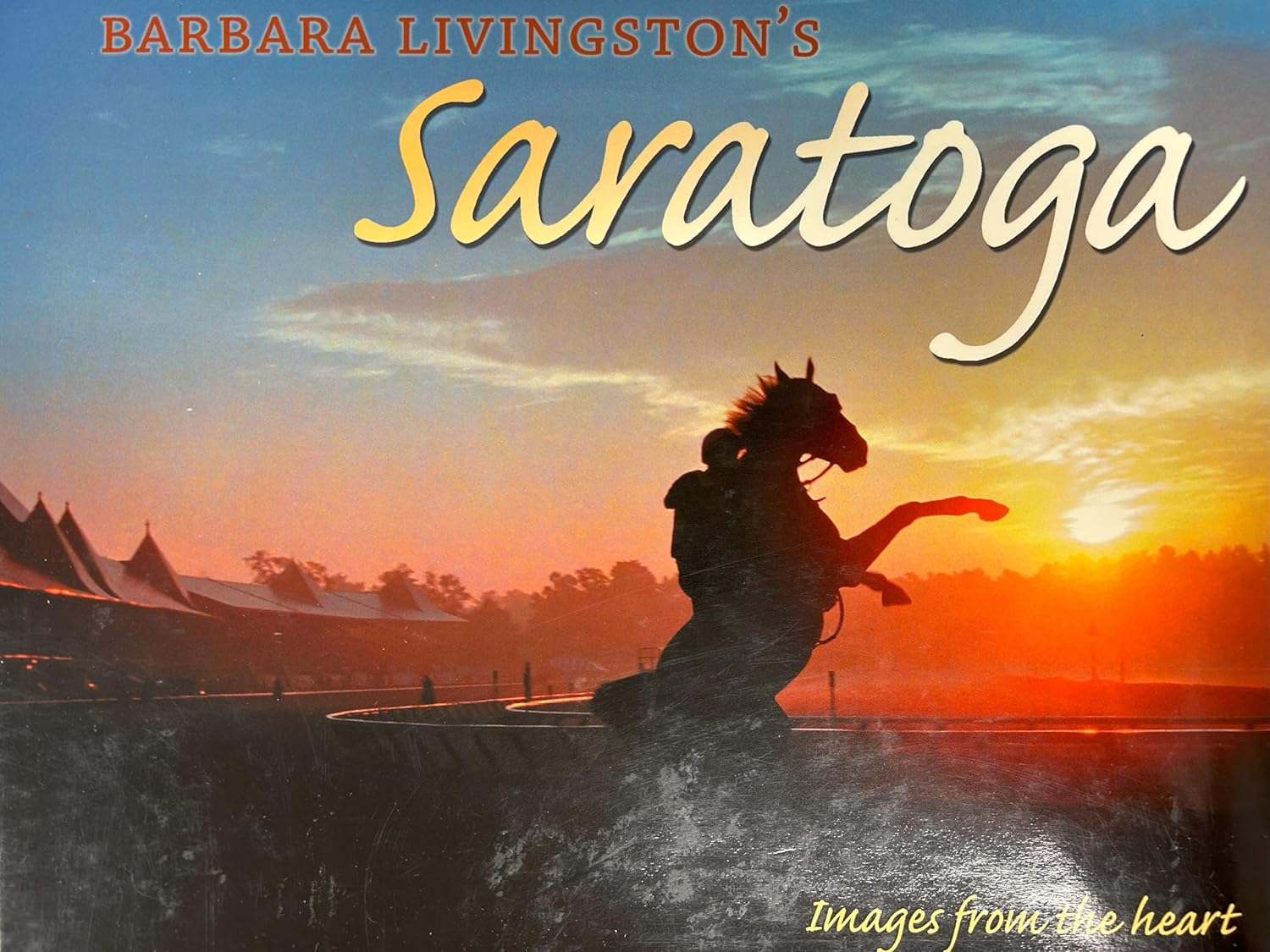 Barbara Livingston's Saratoga