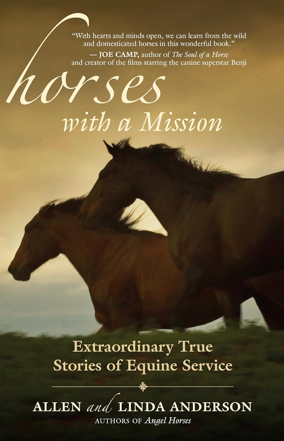 Horses with a Mission: Extraordinary True Stories of Equine Service