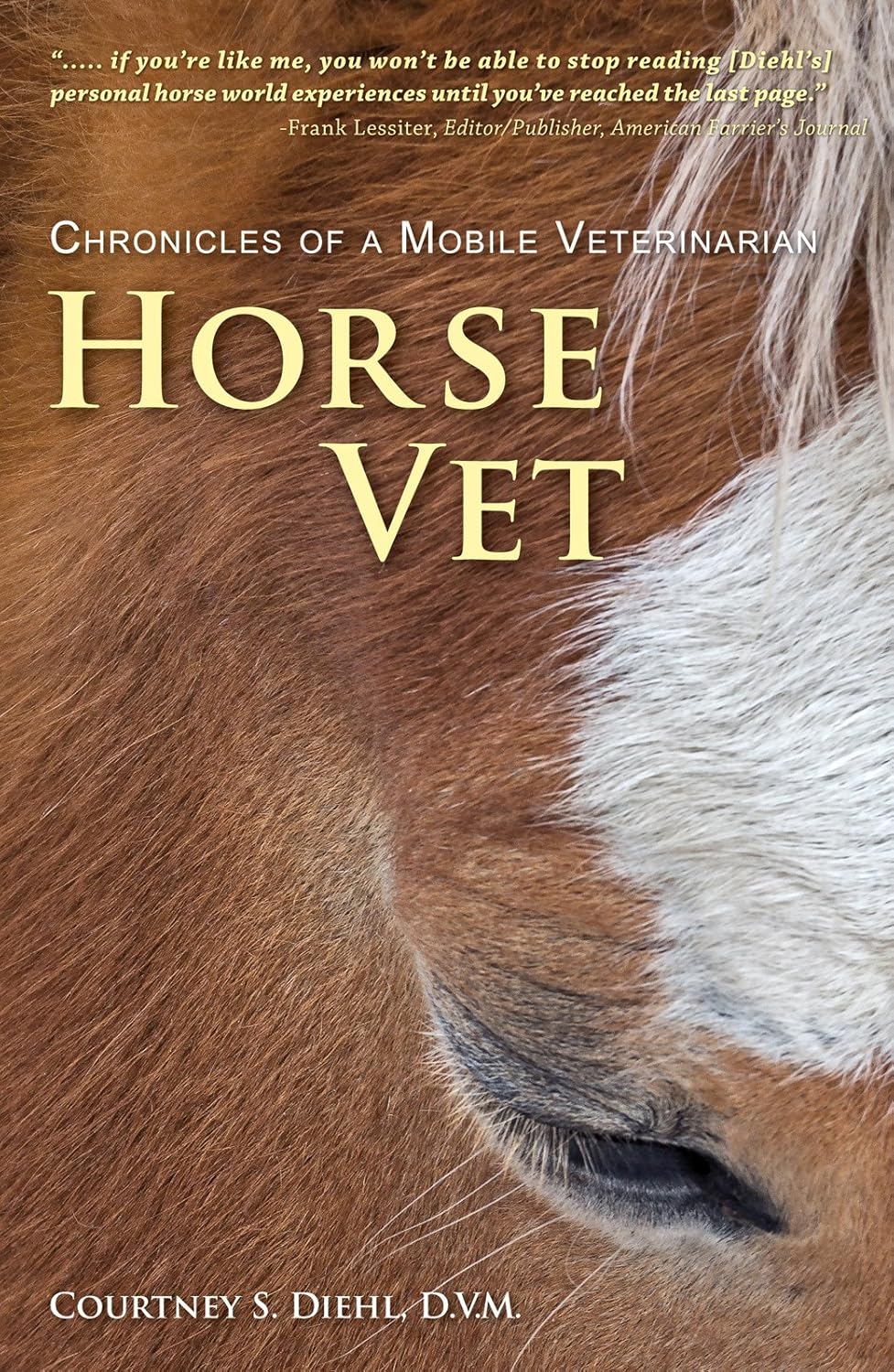 Horse Vet - Chronicles of a Mobile Veterinarian
