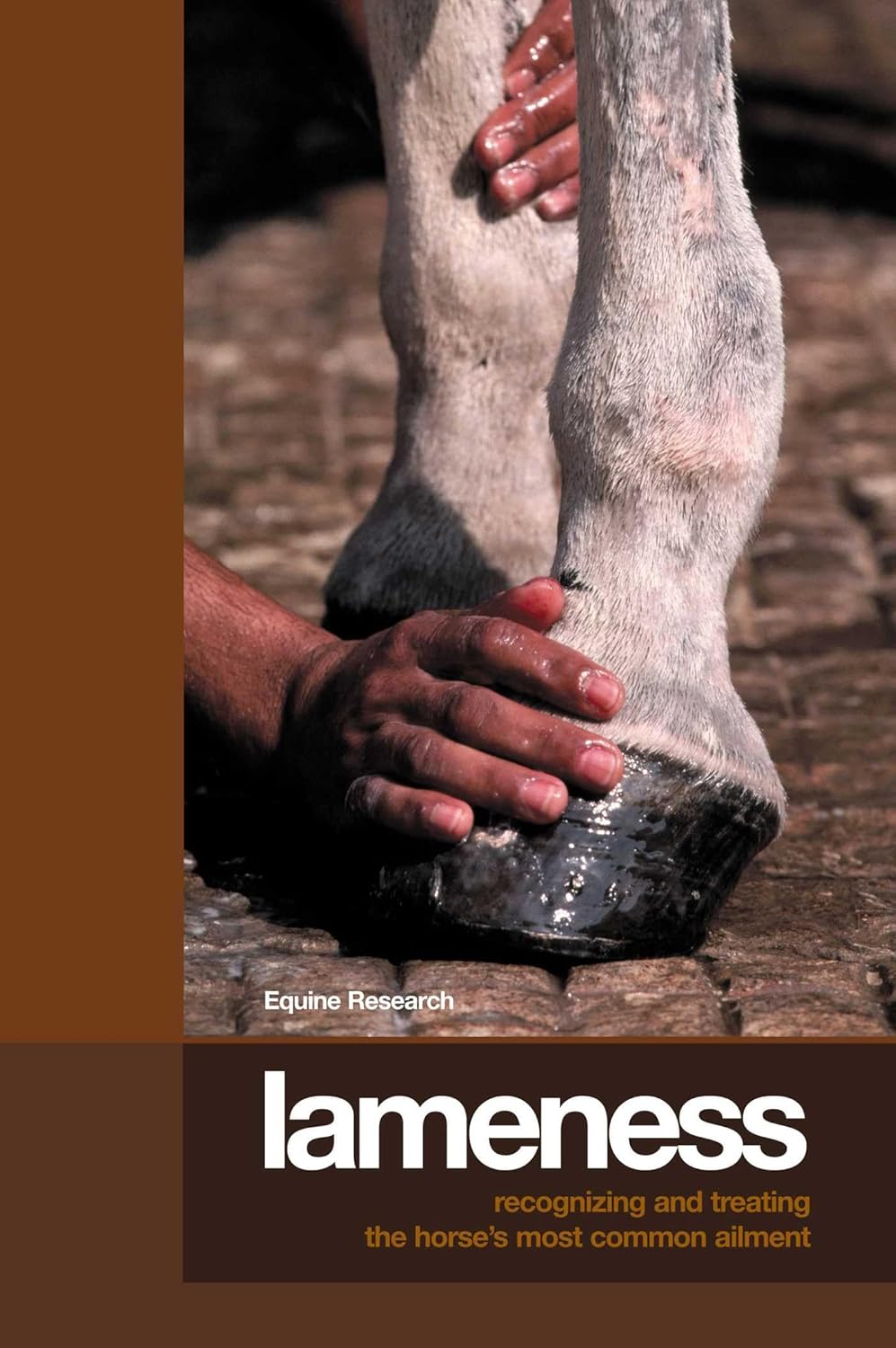 Lameness: Recognizing And Treating The Horse's Most Common Ailment 