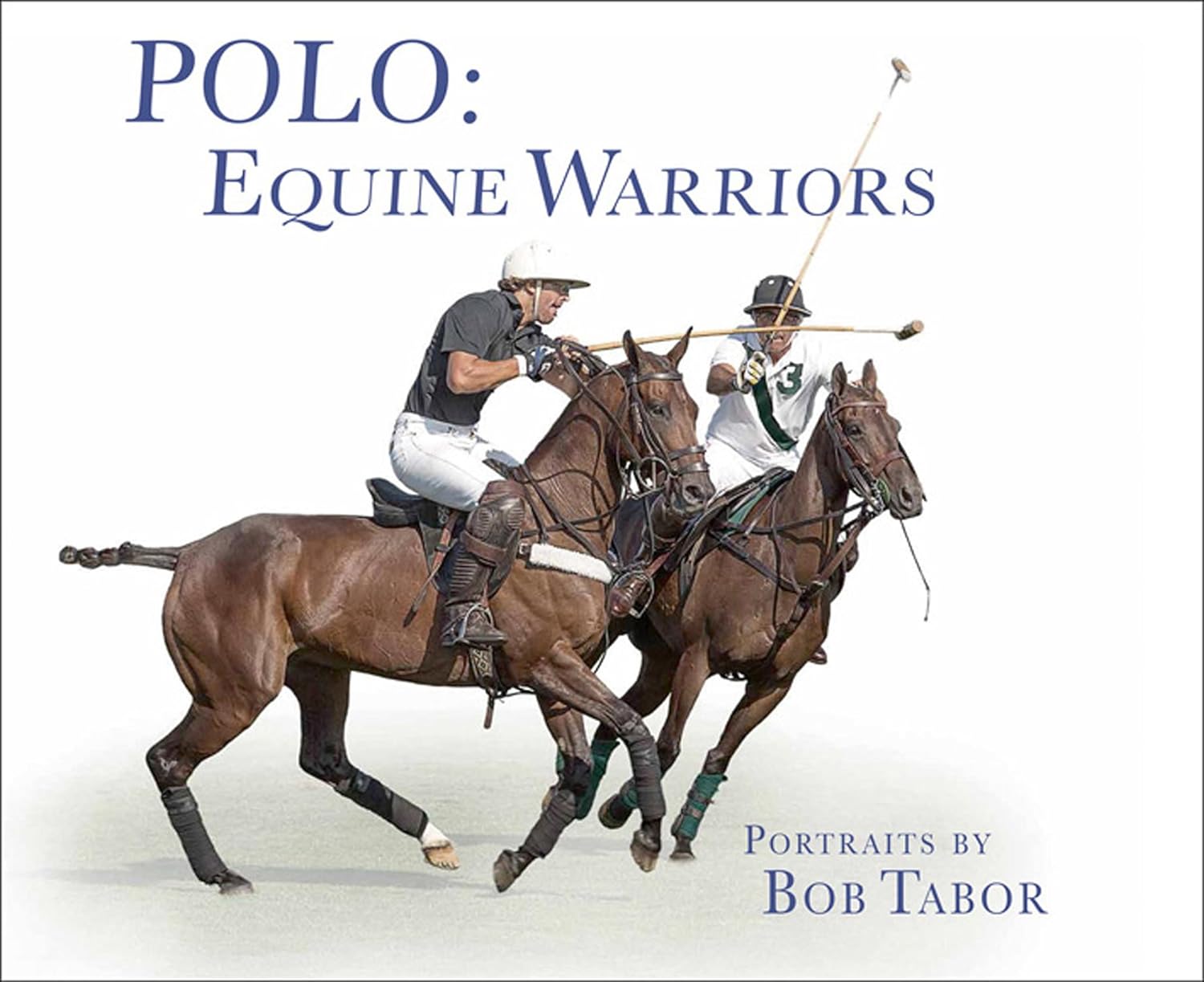 Polo: Equine Warriors