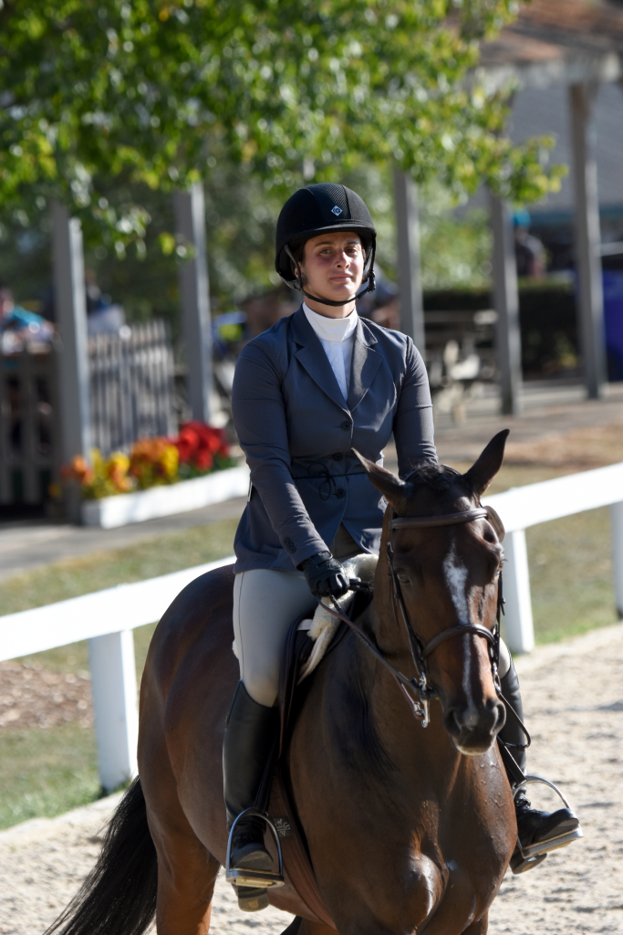Diplomat competed in the Show Hunters discipline. (Melissa Bauer-Herzog/America's Best Racing) Diplomat competed in the Show Hunters discipline. (Melissa Bauer-Herzog/America's Best Racing)