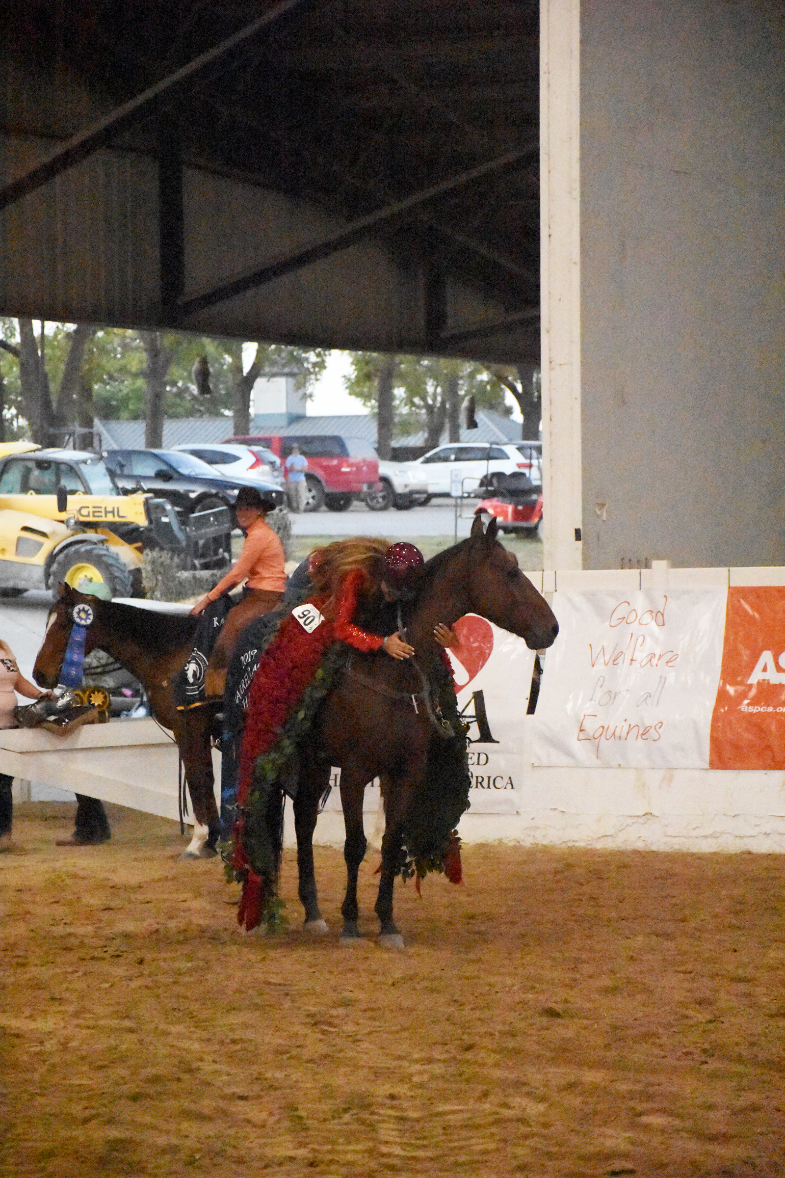 Cowboy Swagger competed in the Barrels discipline and was 2019 Thoroughbred Makeover Champion. (Melissa Bauer-Herzog/America's Best Racing) Cowboy Swagger competed in the Barrels discipline and was 2019 Thoroughbred Makeover Champion. (Melissa Bauer-Herzog/America's Best Racing)