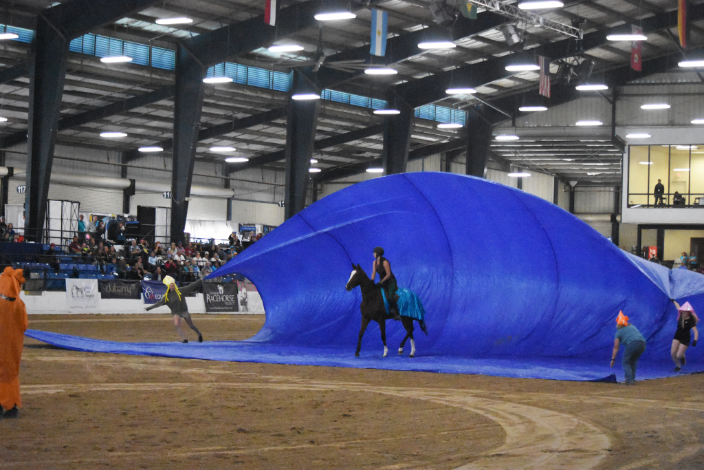 Fairly Obvious competed in the Freestyle discipline. (Melissa Bauer-Herzog/America's Best Racing) Fairly Obvious competed in the Freestyle discipline. (Melissa Bauer-Herzog/America's Best Racing)