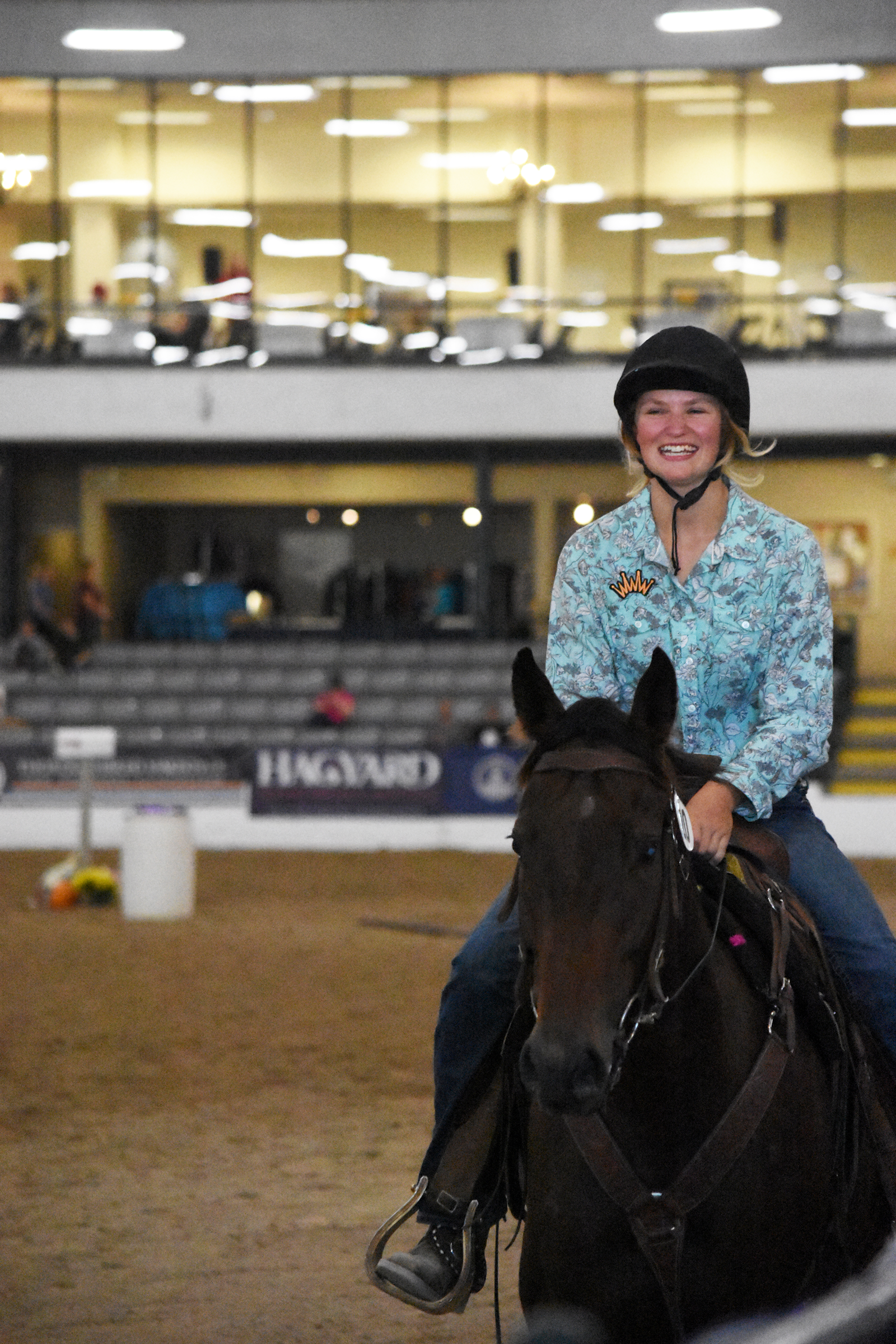 Just In Flash competed in the Competitive Trail discipline. (Melissa Bauer-Herzog/America's Best Racing) Just In Flash competed in the Competitive Trail discipline. (Melissa Bauer-Herzog/America's Best Racing)