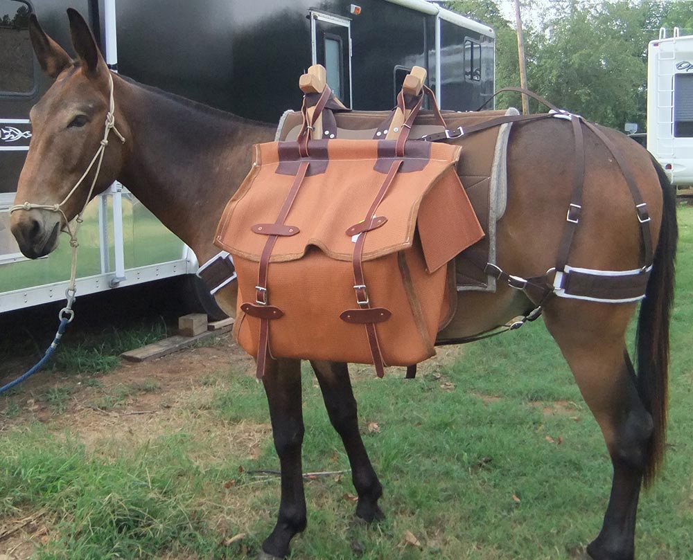 2RMules and Wyoming Saddlery 2RMules and Wyoming Saddlery