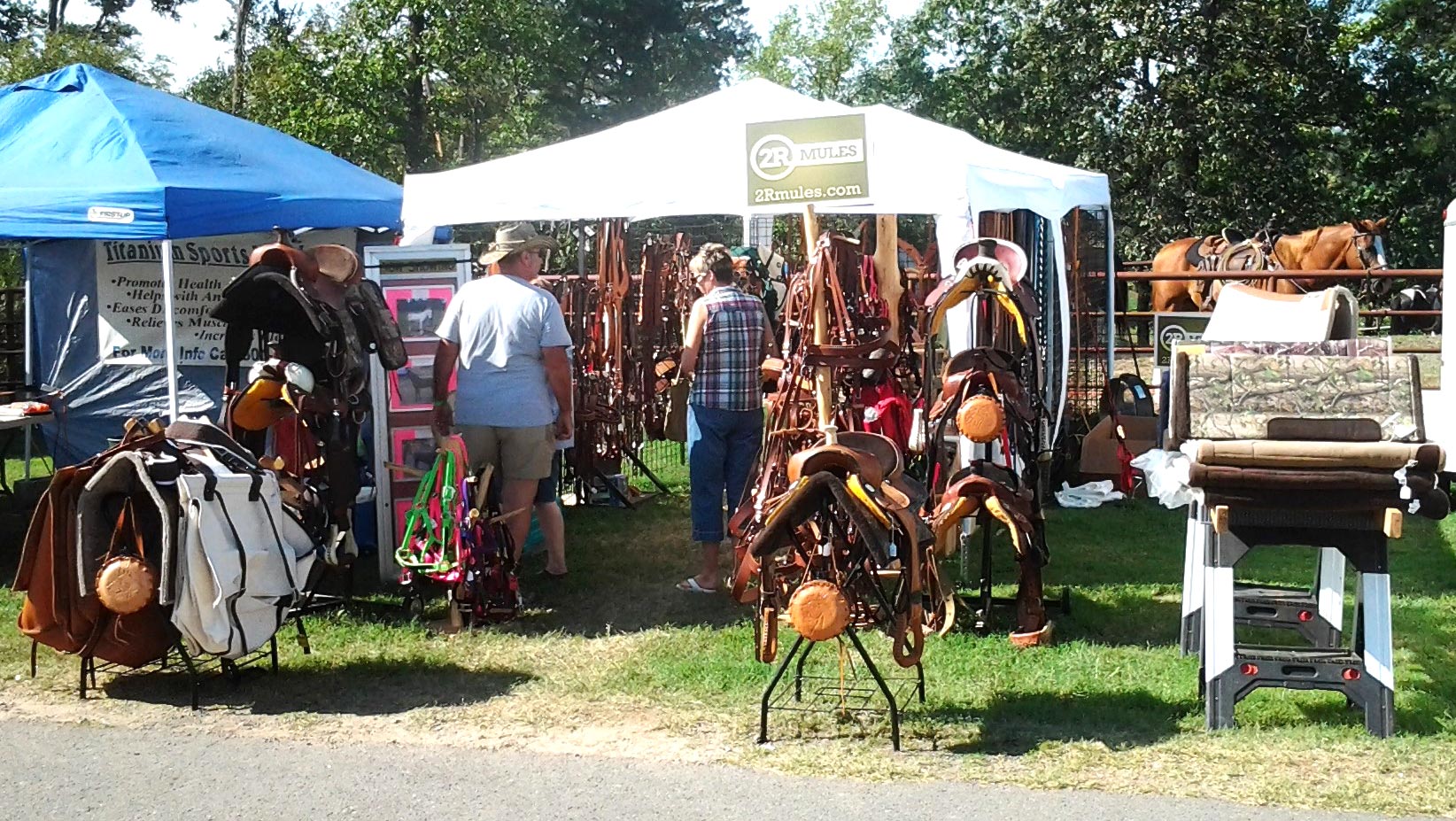 2RMules and Wyoming Saddlery 2RMules and Wyoming Saddlery
