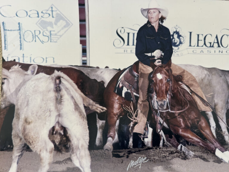 Photo courtesy of AQHA