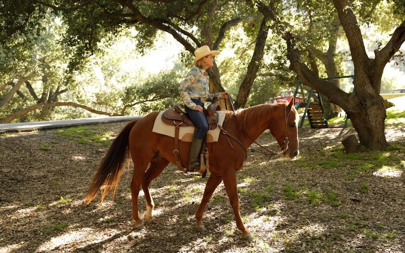 Photo courtesy of AQHA