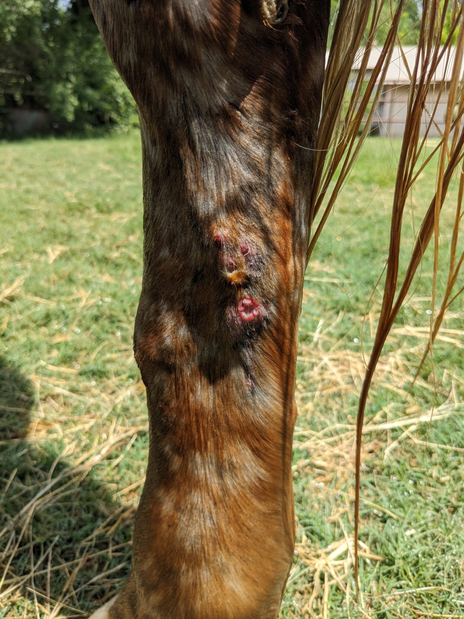 Photo courtesy of Kristin Pitzer