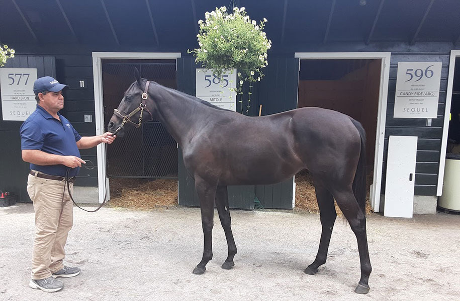 Photo Courtesy of the EIE Editorial Staff