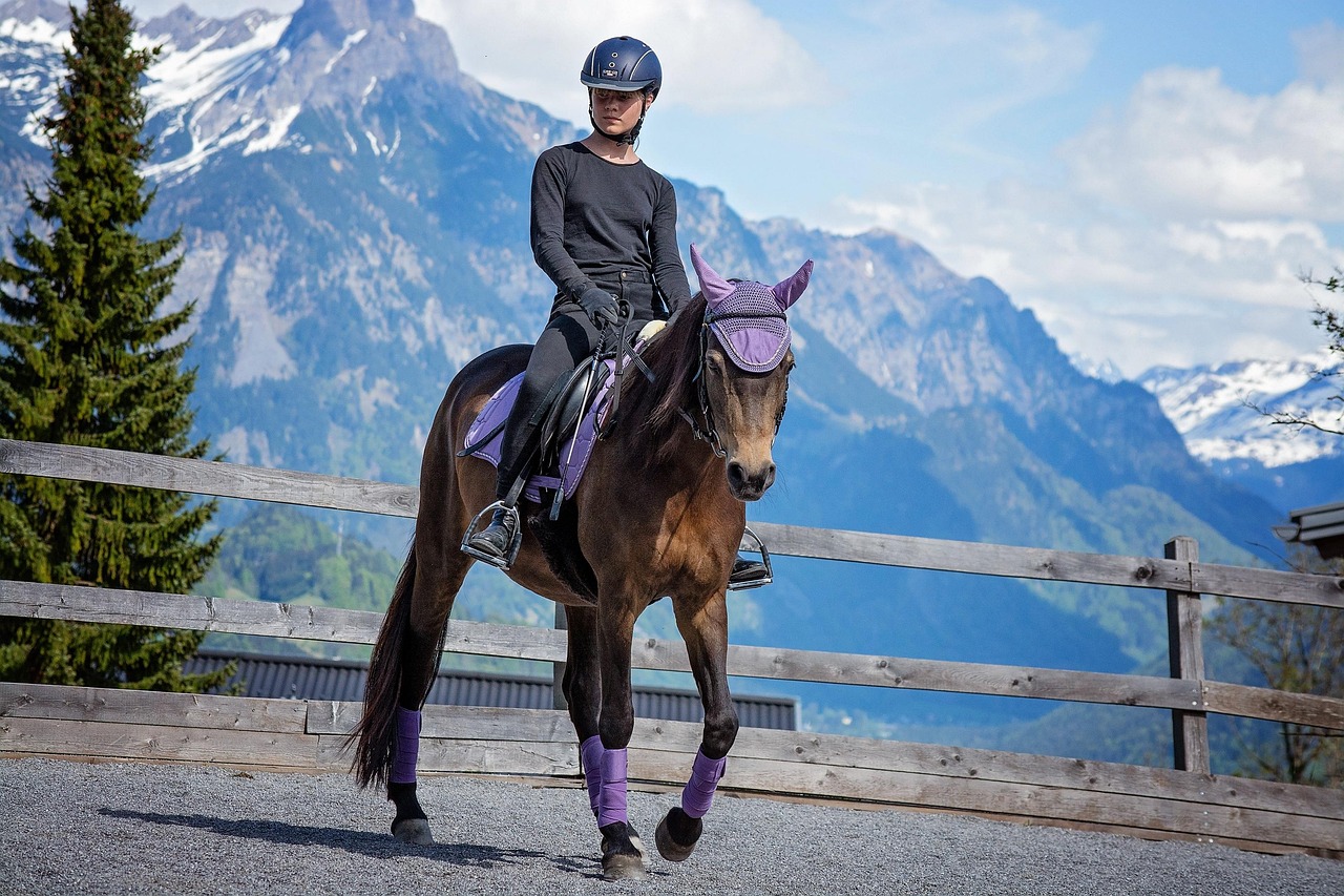 Image by Petra from Pixabay