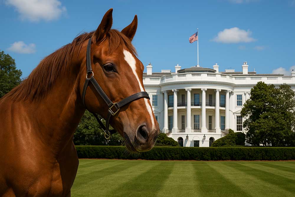 Image is AI Generated