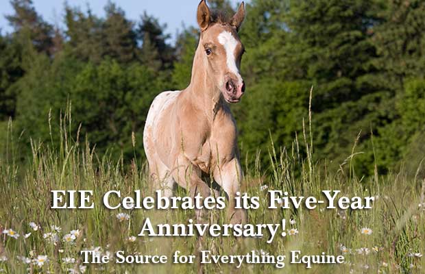 Equine Info Exchange Celebrates Its Five-Year Anniversary Milestone as The Source for Everything Equine