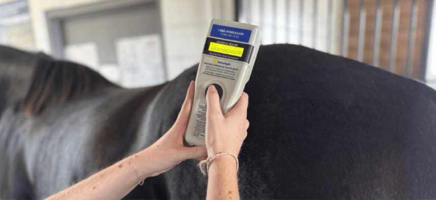 Photo courtesy of Kentucky Equine Research