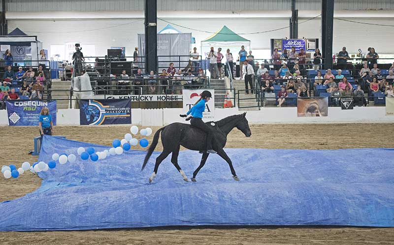 Freestyle (Lindsey Partridge and Bowdrie) 2017 Freestyle (Lindsey Partridge and Bowdrie) 2017