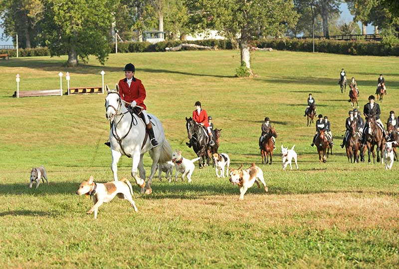 Field hunters - Oct 5, 2017 Field hunters - Oct 5, 2017