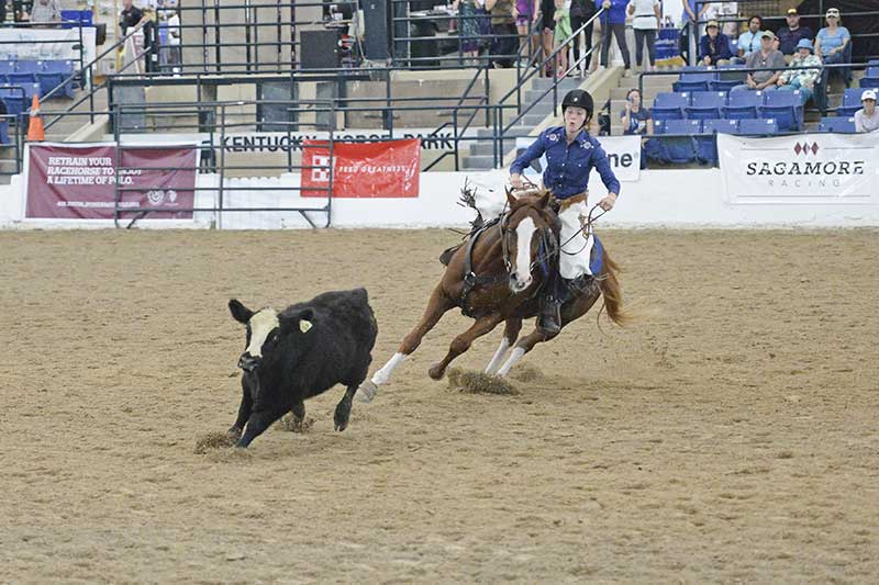Working ranch (this year it is called ranch work and does not incorporate working cattle) Oct 5, 2017 Working ranch (this year it is called ranch work and does not incorporate working cattle) Oct 5, 2017