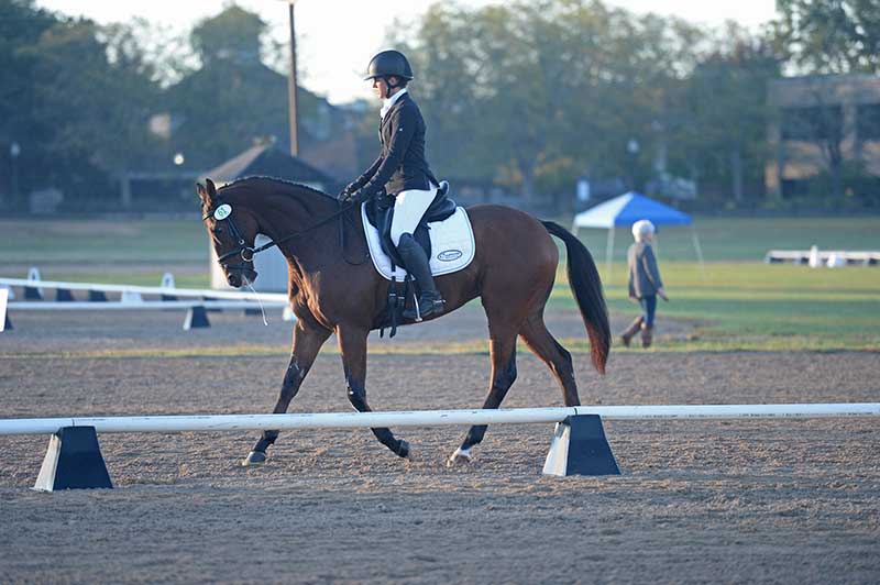 Dressage - Oct 6, 2017 Dressage - Oct 6, 2017