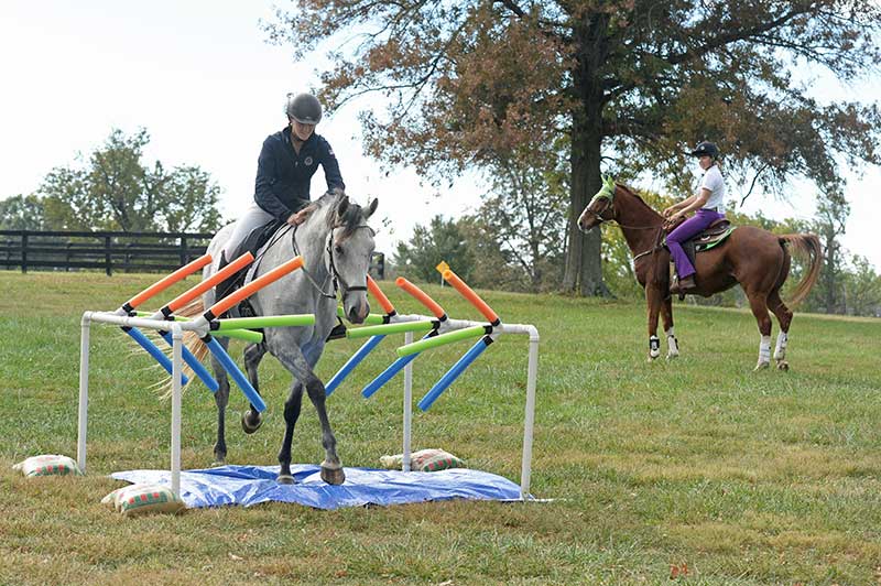 Competitive trail - Oct 6, 2017 Competitive trail - Oct 6, 2017