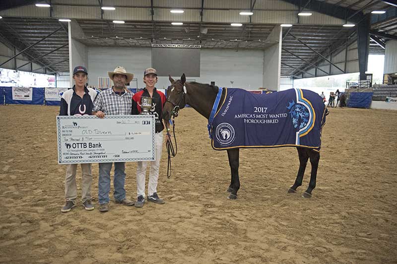 America’s Most Wanted Thoroughbred, Old Tavern - 2017 America’s Most Wanted Thoroughbred, Old Tavern - 2017