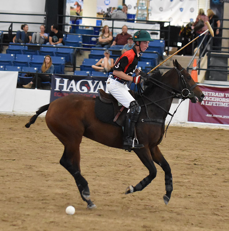 Polo winner Charlie Caldwell and Old Tavern - 2017 Polo winner Charlie Caldwell and Old Tavern - 2017