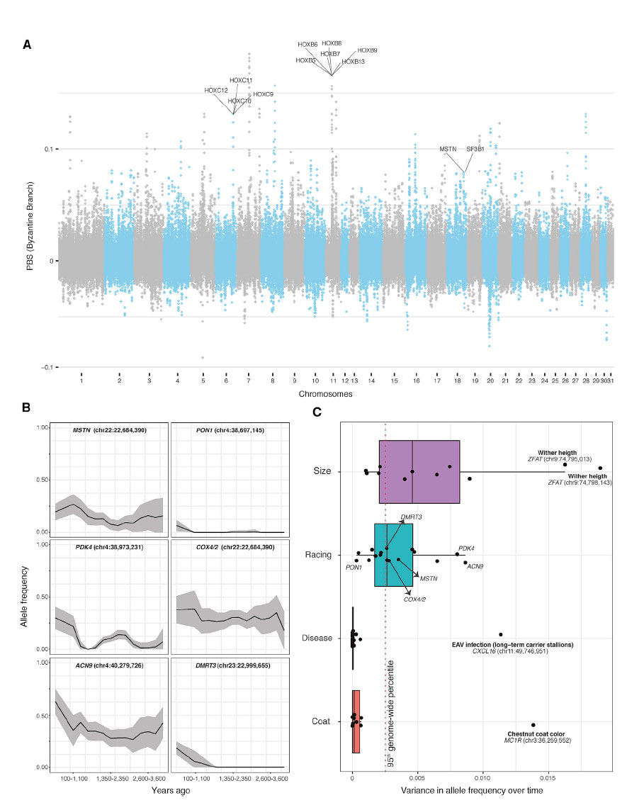 Figure 4 Figure 4