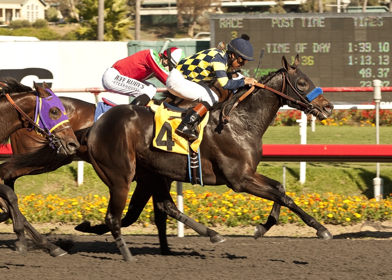 First success: Carving, owned by Bode Miller in partnership with Jill Baffert, wins the Real Quiet Stakes at Hollywood Park in 2012. Benoit photo First success: Carving, owned by Bode Miller in partnership with Jill Baffert, wins the Real Quiet Stakes at Hollywood Park in 2012. Benoit photo