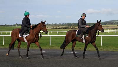 Curragh, Ireland Curragh, Ireland